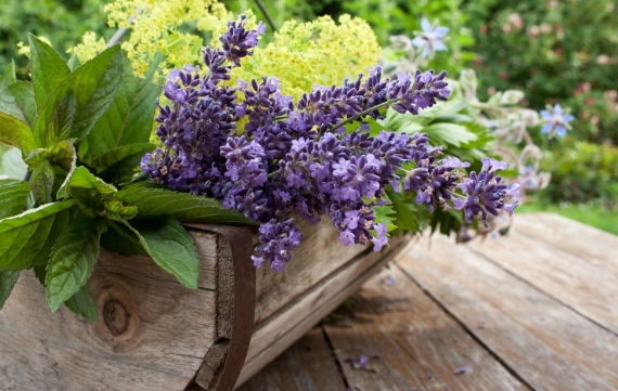 Basket with herbs in summer
