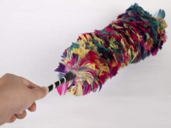 8562661-isolated-feather-duster-hand-hold