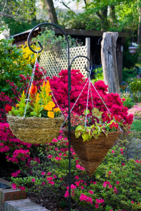 Pair of hanging planters.  Shallow depth of field.